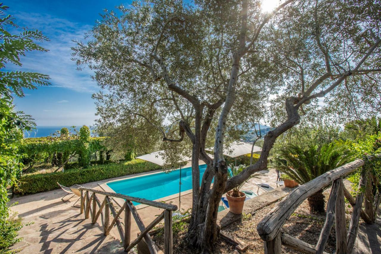 Villa Due Golfi Massa Lubrense Exterior photo
